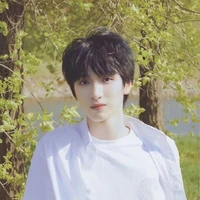 Nghiêm Hạo Tường