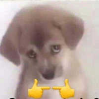 Fui nè