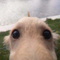 All