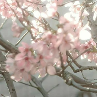 All [-Cần trừ]