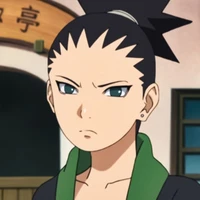 Nara Shikadai