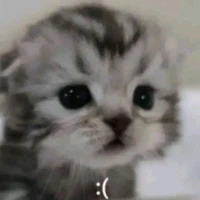 Ban Mai