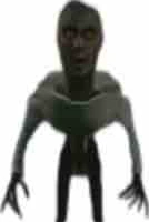 Skibidi human 