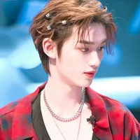 Đinh Trình Hâm (Bỉ Lân Tinh)