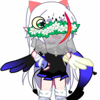T/g cute(hệ thống 419-Sano)