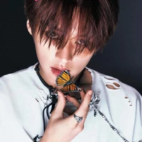 Lee Minho