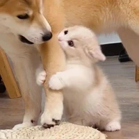 NV có mặt ở đó