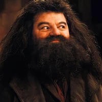 Rubeus Hagrid