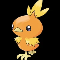 Torchic