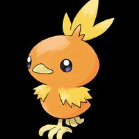 Torchic