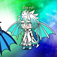 Zila vui