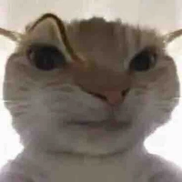 Con t/g mê allHuy =33