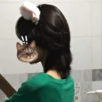 Kim Ánh