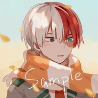 Todoroki Shoto