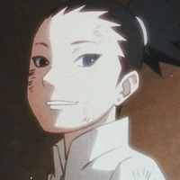 nara shikadai