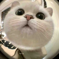 Cân mọi vai thầy/cô