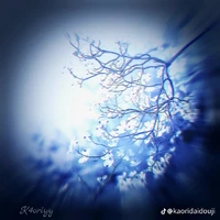 Tất cả - ng cần trừ