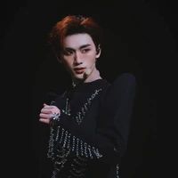 Đinh Trình Hâm (Anh)