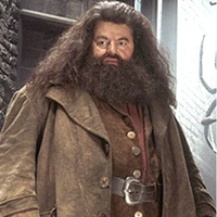 Rubeus Hagrid
