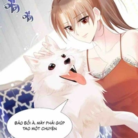 Diêu Diêu