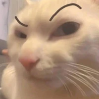cond@mđiên