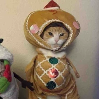 Tác giả đẹp zai😏