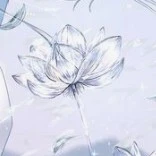 All (-shinobu)