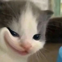 T/G