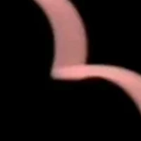 ....