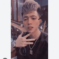 mr. vit(Việt)