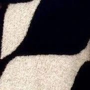 5 người em/chị🤡