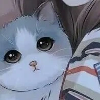 Hệ thống F (Cat)