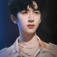 Hạ Tuấn Lâm 