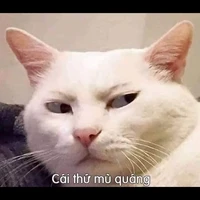 tác giả siêng năng nhất hệ mặt trời