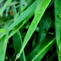 Tổng hợp