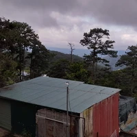 hệ thống ( lika)