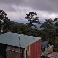 tác giả