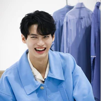 win metawin