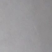 nvp 