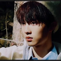 Tô Tân Hạo - cậu