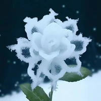 tác giả cô đơn