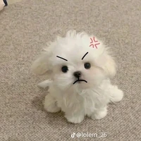 Chít(tác giả)