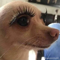 chưa biết nhưng slayyyyy