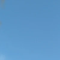 all