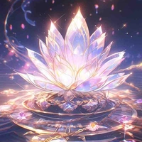 520