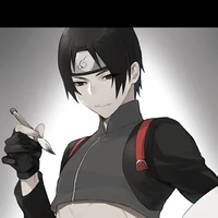 sai(memma)