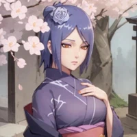 nohara rinha