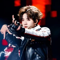 Hạ Tuấn Lâm ( Y )