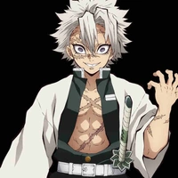 Shinazugawa Sanemi