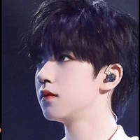 Hạ Tuấn Lâm